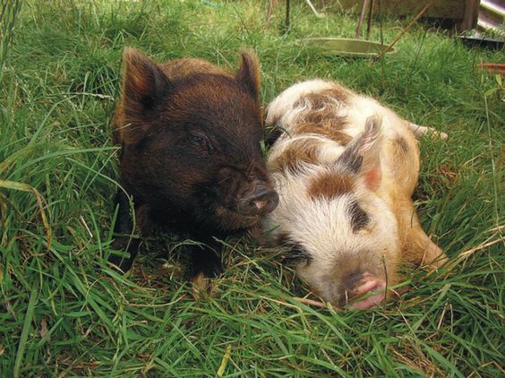 0b2e1fe73c0ccbd2f2a40968d9268e38